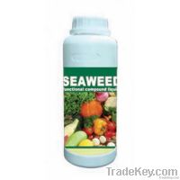 Seaweed functional compound liquid