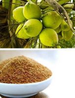 Certified Organic Coconut Sugar