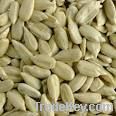 New Crop Sunflower Seeds Suppliers | Sunflower Seed Exporters, | Sunflower Black Seed  | Striped Black Seed | Flowers Seed | Sunflower Kernels