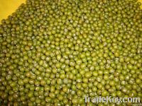 Mung Beans