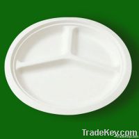 biodegradable disposable paper plate