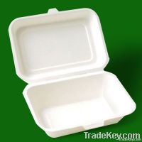 biodegradable disposable lunch box