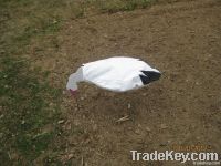 Feeder Snow Goose Decoys