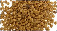 Fenugreek