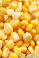 Canned Sweet Corn Kernel