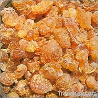 GUM ARABIC