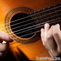 Nylon strings for classical guitar.