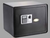 biometric safe