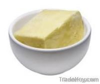 High Quality Grade Cocoa Butter