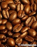 https://www.tradekey.com/product_view/Export-Green-Coffee-Beans-green-Coffee-Bean-Importer-green-Coffee-Beans-Buyer-buy-Green-Coffee-Beans-green-green-Coffee-Bean-Manufacturer-best-Green-Coffee-Bean-Exporter-low-Price-Green-Coffee-Beans-best-Quality-Green-Coffee-Bean-green-Coffee-Bean-Suppl-3567923.html