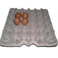 Paper Pulp Egg Trays