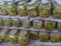 Pickled cucumber 6-9cm jar 1500ml