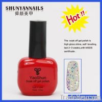 TOP Sale Shellac for nail art product