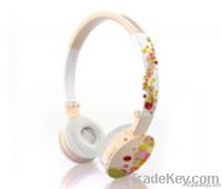 Wireless card noise cancelling headphone with FM radio