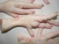 Frozen Chicken,Chicken Feet,Chicken Wings