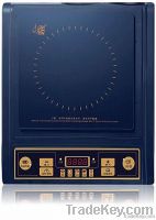 induction cooker 220V