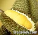 fresh durian