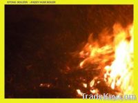 Paddy husk boiler