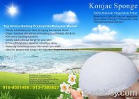 Konjac Sponge