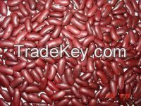 Red Kidney Beans