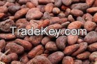 High quality COCOA BEANS