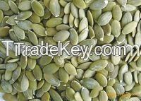 Pumpkin Seeds Kernels