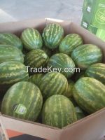 WATERMELONS