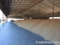 рисовых импортеров, покупателей рисовых, рисовые поля импортером, купить рис Пэдди, рисовые поля покупатель, импорт рисовые поля,Rice paddy rapan