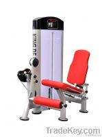 Leg extention gym equipment