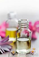 Essential Oils & Fragrances