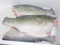 FROZEN NILE PERCH H&G