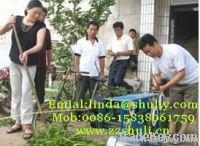 Willow peeler, willow branch peeler,