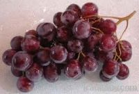 Fresh Grapes