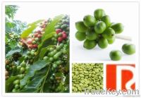 100% nature Green Coffe Bean Extract