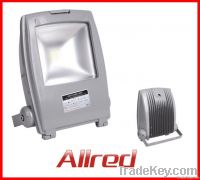 F5 LED Flood Light