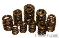 Valve Springs