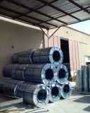 Hr Cr Gi Ppgi Aluminium Coil Sheet In Uae Dubai Steel Supplier