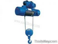 Single Speed Wire Rope Electric Hoist