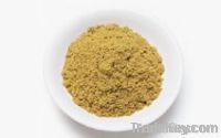 Cumin Powder