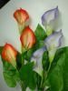 https://www.tradekey.com/product_view/Artificial-Common-Calla-Flower-3624861.html