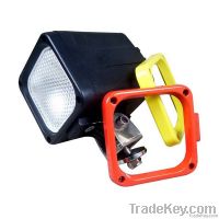 HID Working Light