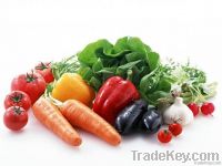 Fresh Vegetables and Meat