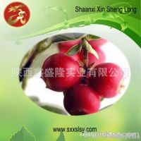 è”“è¶Šæ©˜æå–ç‰©Cranberry Extract