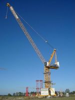 Luffing tower crane