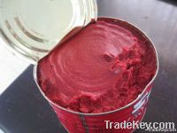 canned tomatom paste 28-30%, 22-24%