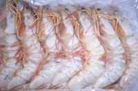 Frozen White Shrimps
