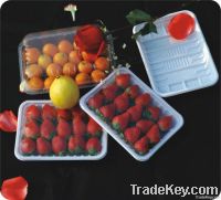 plastic fruit box&tray packing