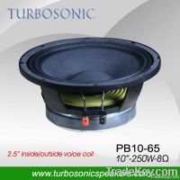 Low price 10" woofer pa speaker for Outdoor/stage/ pa sysytem