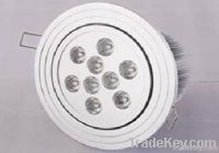 LED Down Light