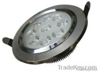 LED Down Light